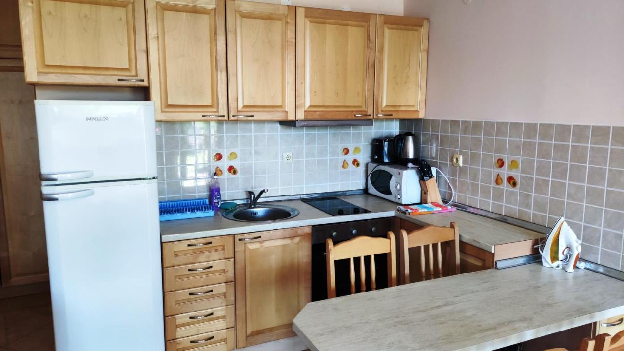 Marina Delfin Apartments - Top Location & Pet Friendly Светий Влас Екстер'єр фото